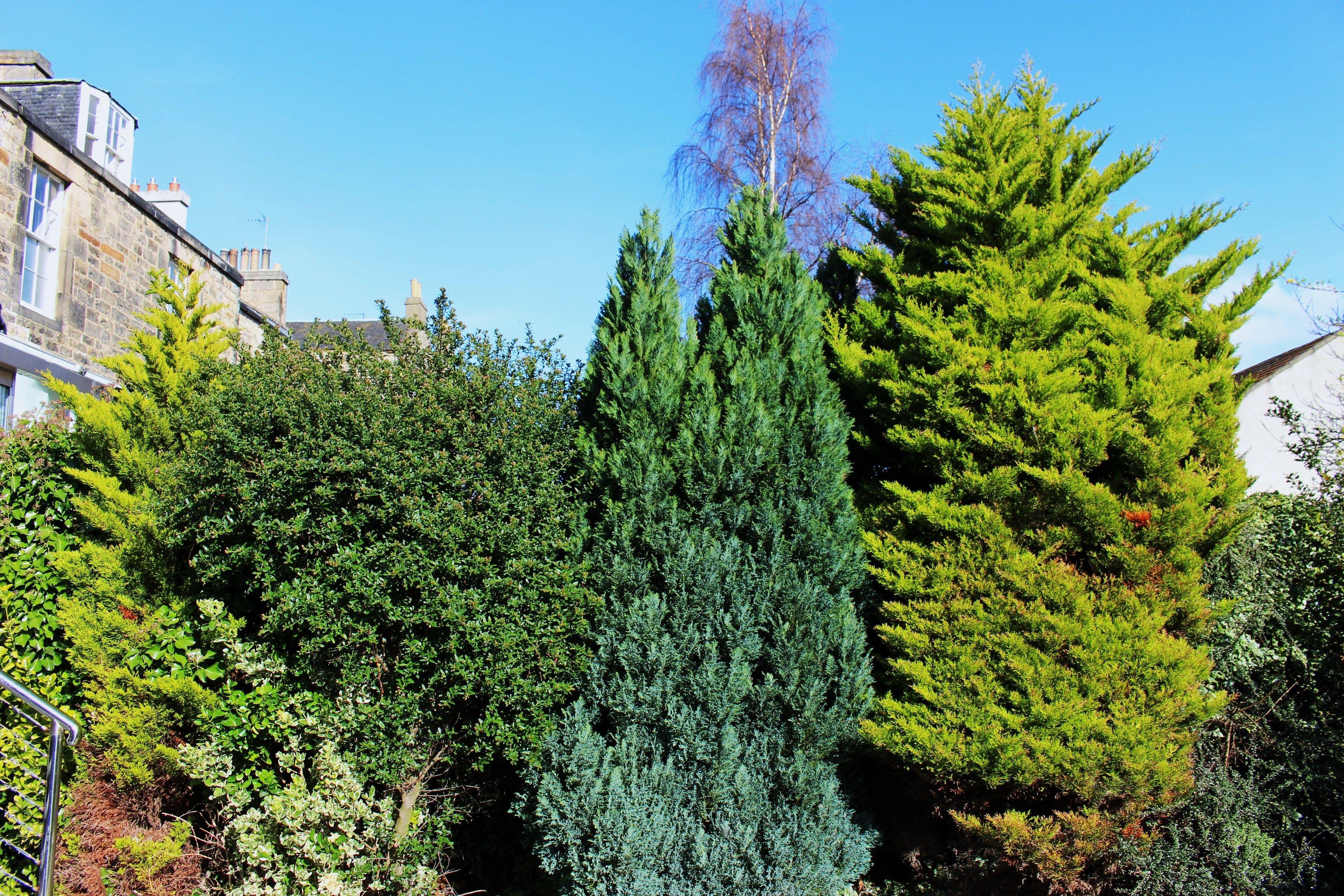 Culane House Hotel - B&B - Edinburgh — Photos 2